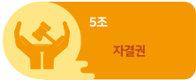 5조